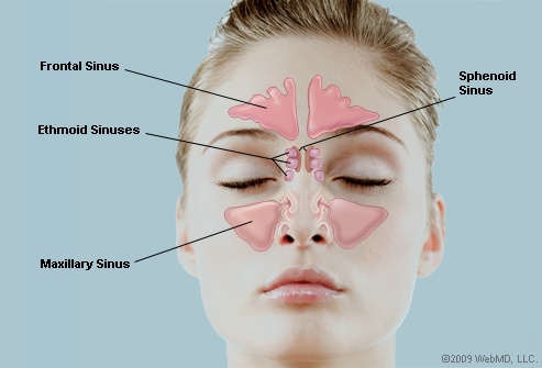 chiropractors treat sinus and ear pain