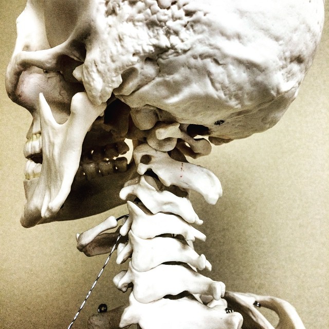 Favero Chiropractic can help your neck pain