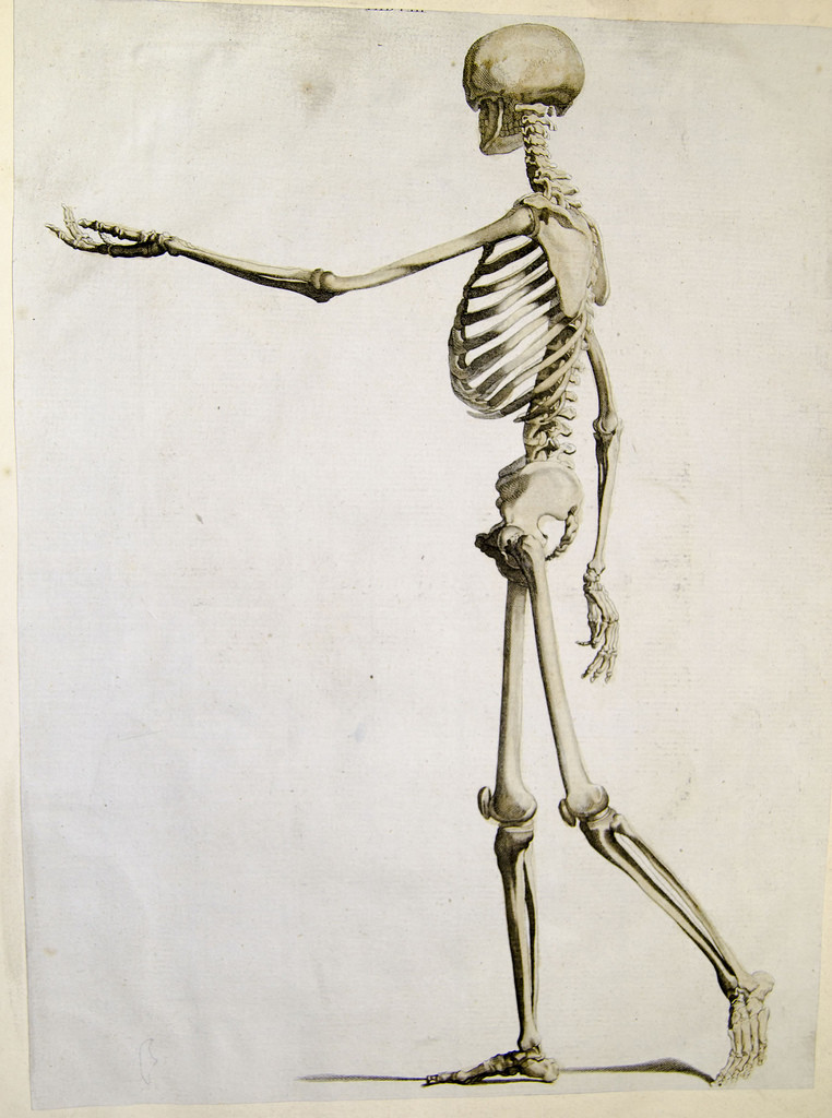 walking skeleton