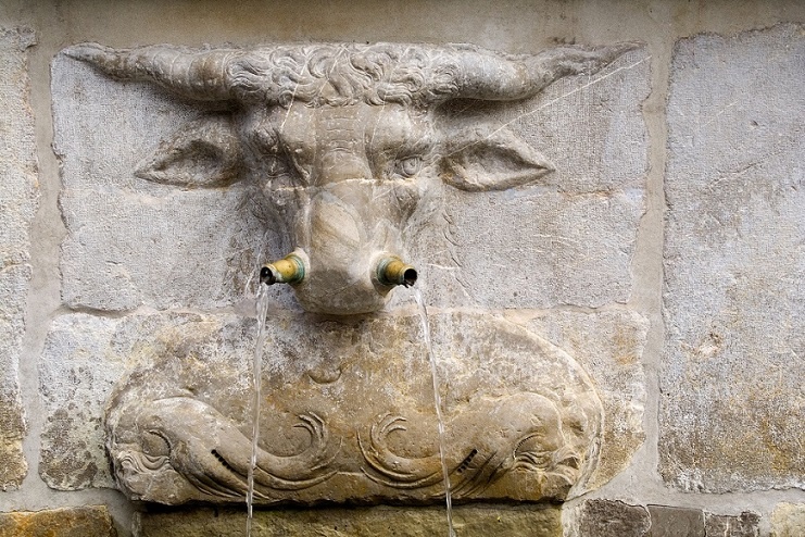 running nose, bull fountain