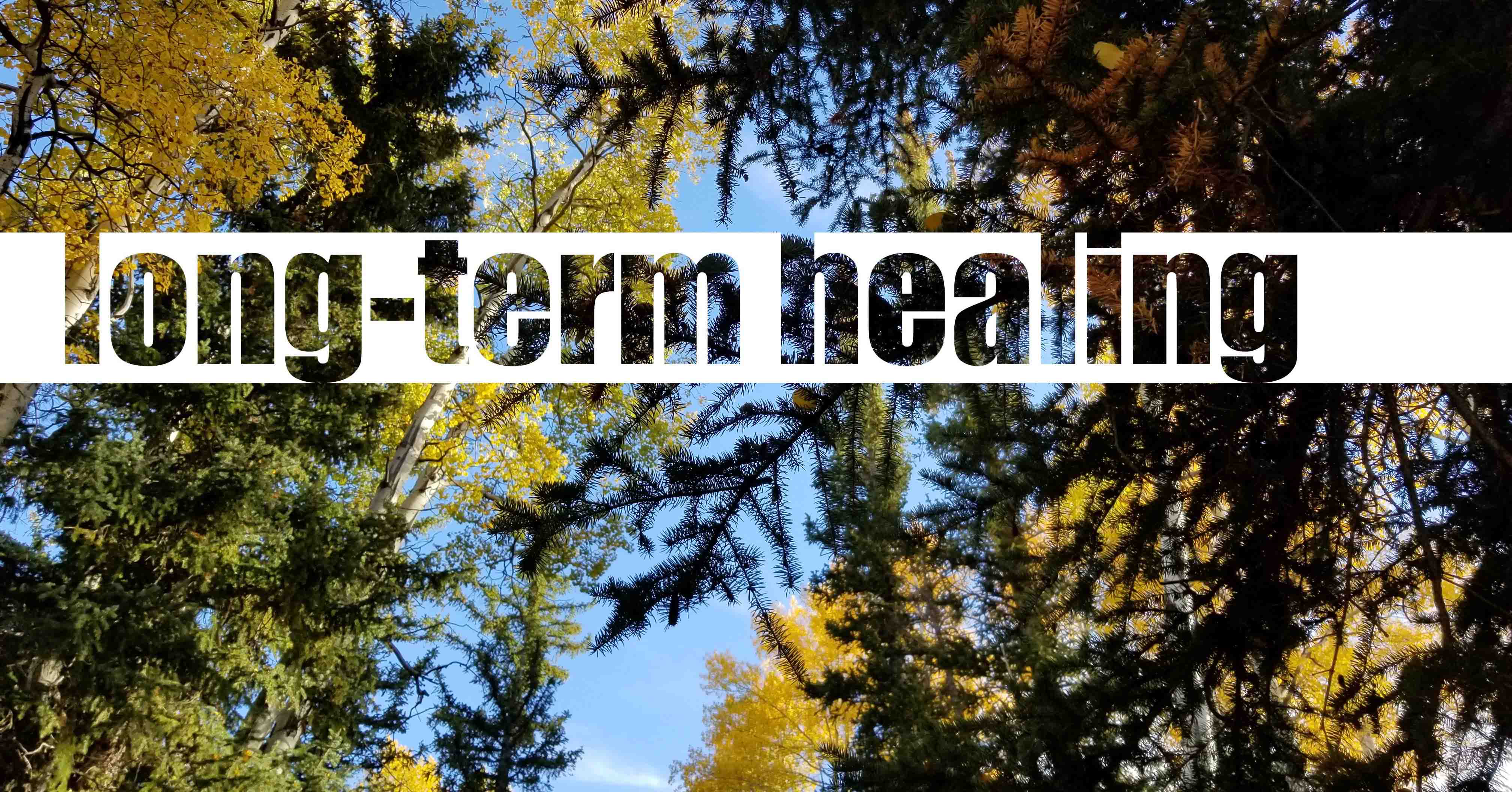 long-term healing, how chiropractic works